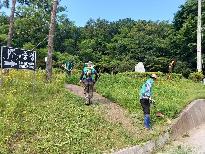 [강화군]양도면_제초작업_(2)